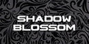 Hasselblad X2D II 100C Camera Skin