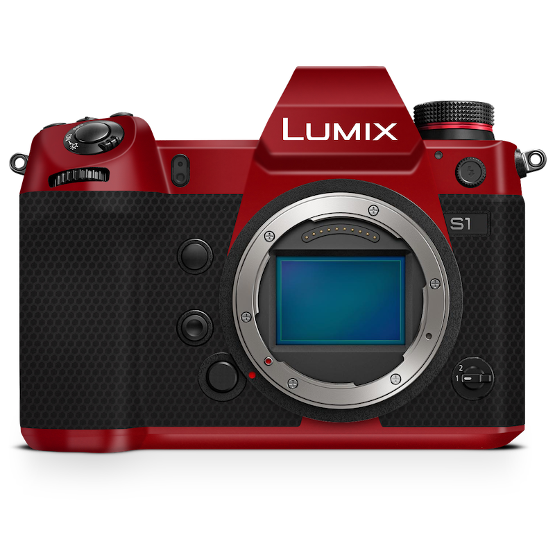 Panasonic LUMIX DC-S9 Camera Skin