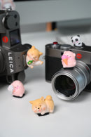 Hot Shoe Buddies Corgi Panda and Pigs Collectables