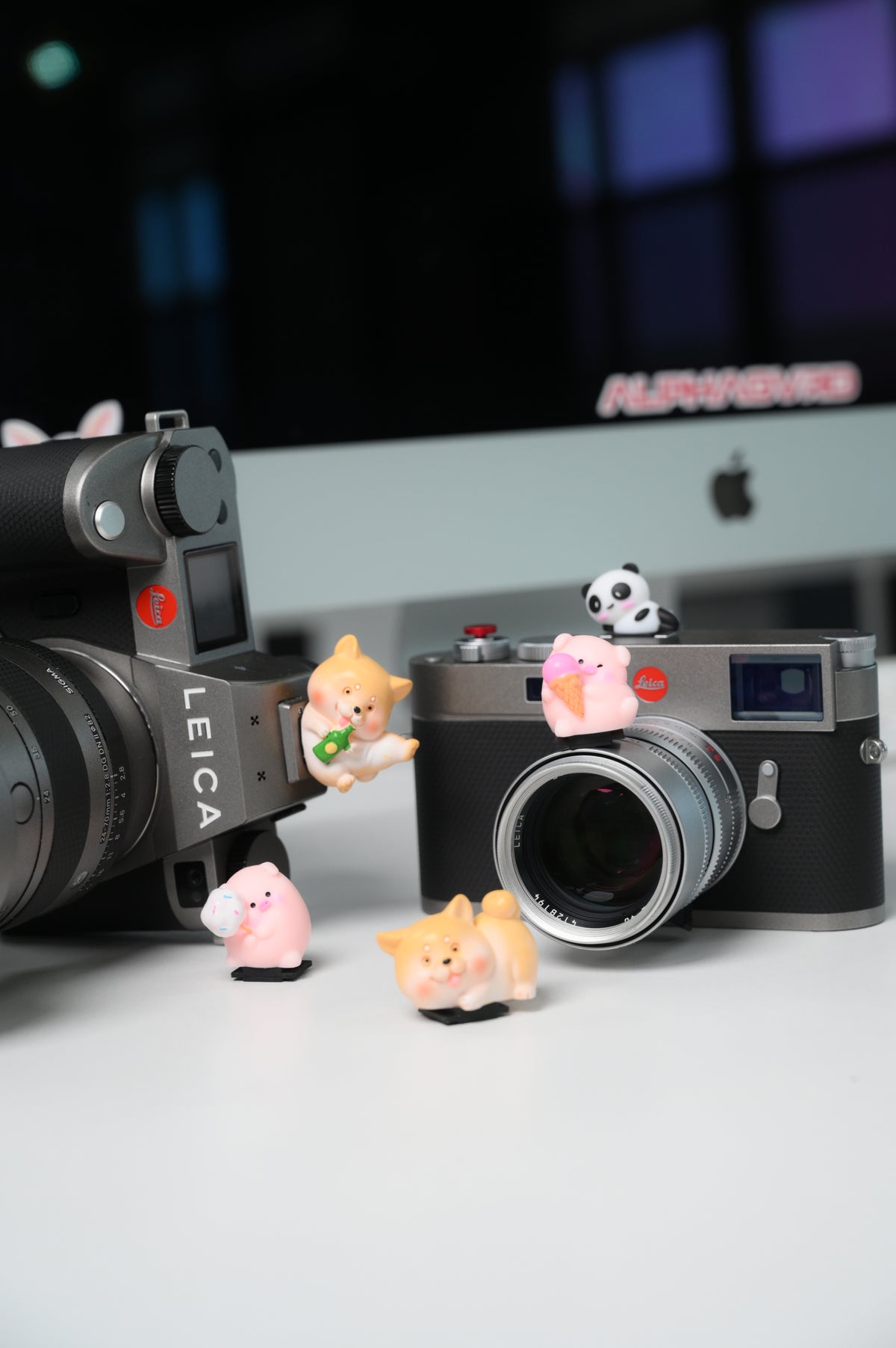 Hot Shoe Buddies Corgi Panda and Pigs Collectables