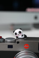 Hot Shoe Buddies Corgi Panda and Pigs Collectables