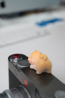 Hot Shoe Buddies Corgi Panda and Pigs Collectables