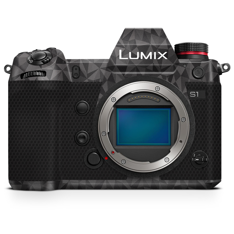 Panasonic LUMIX DC-S9 Camera Skin