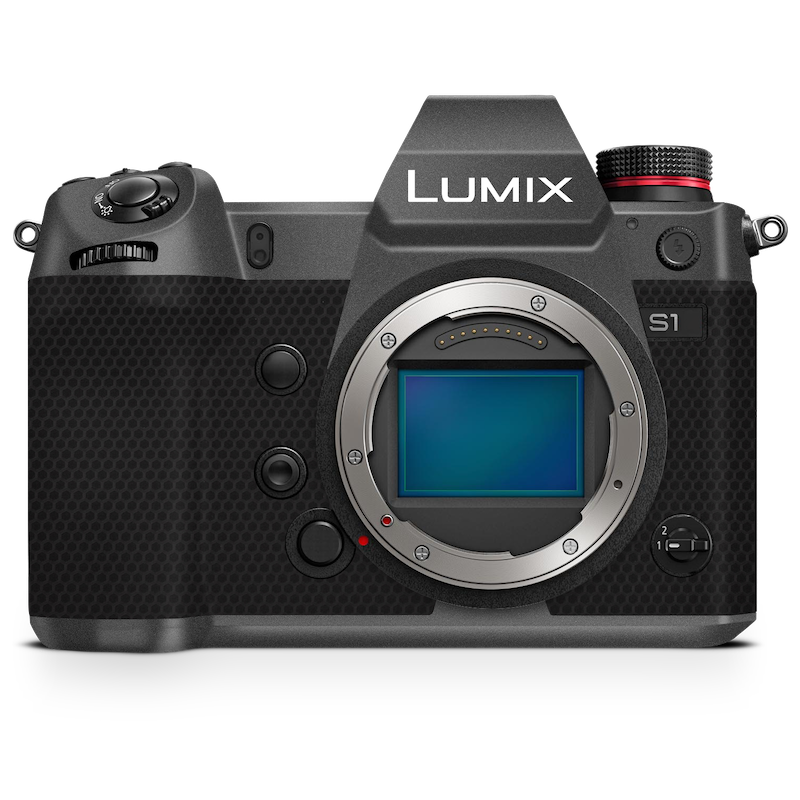 Panasonic LUMIX DC-S9 Camera Skin