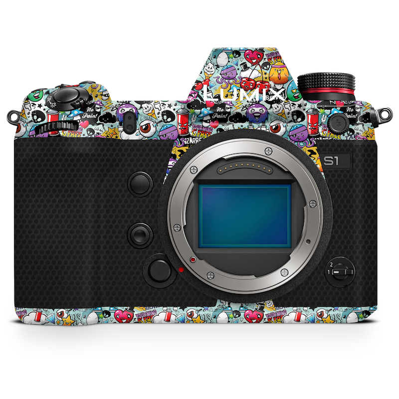 Panasonic LUMIX DC-S9 Camera Skin