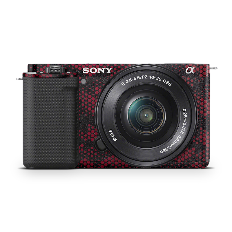 Manuale Sony Alpha ZV-E10 (602 pagine Manuale Sony Alpha ZV-E10 (602 pagine