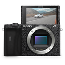 SONY A6600 Camera Skin