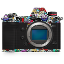 PANASONIC LUMIX DC-S1 and S1R Mirrorless Digital Camera Skin