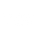 PANASONIC LUMIX S 24-60mm F2.8 Lens Skin